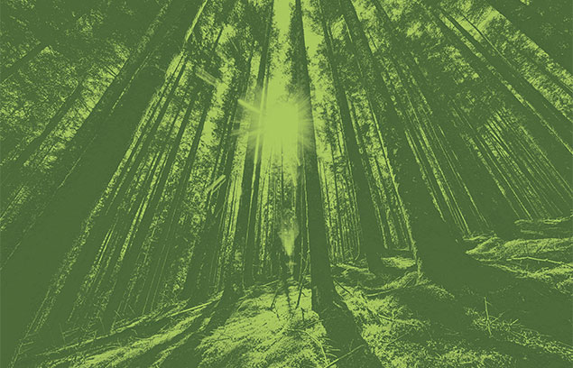 Image de couverture pour les versions du label ecoprod