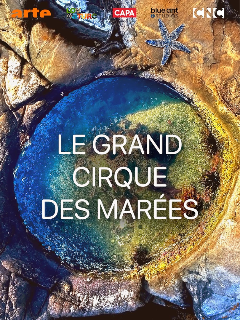 Le Grand Cirque des Marées